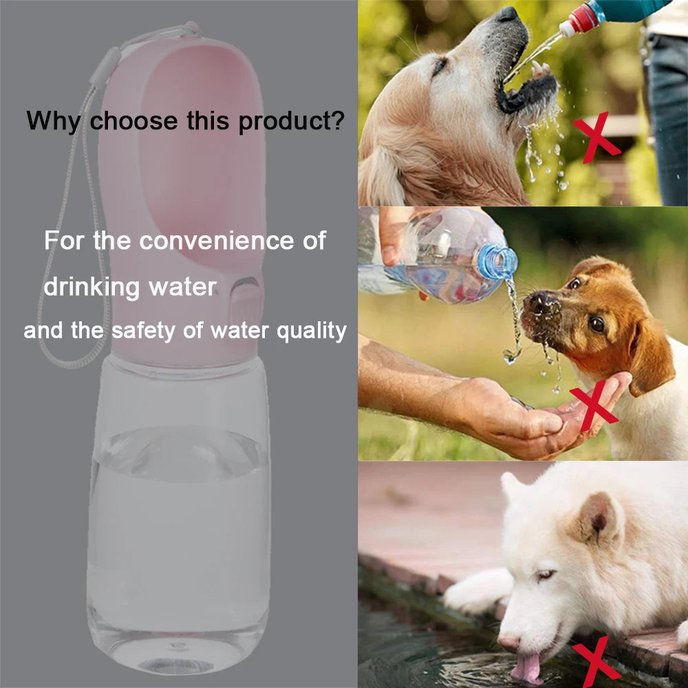 Leakproof Dog Water Bottle for Travel | PawLane