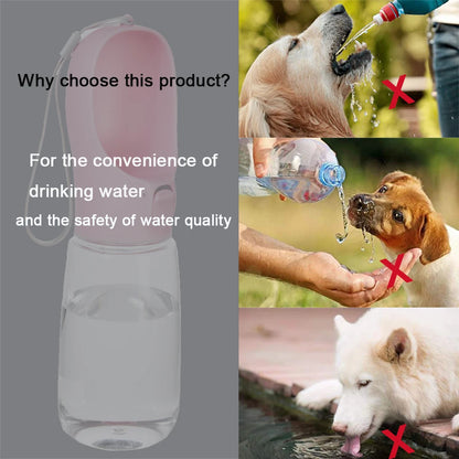 Leakproof Dog Water Bottle for Travel | PawLane