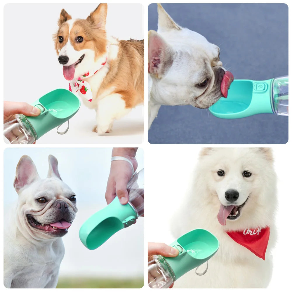 Leakproof Dog Water Bottle for Travel | PawLane