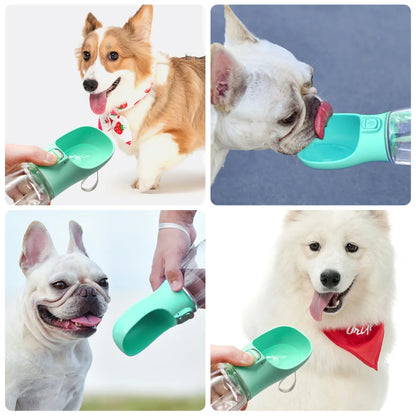 Leakproof Dog Water Bottle for Travel | PawLane